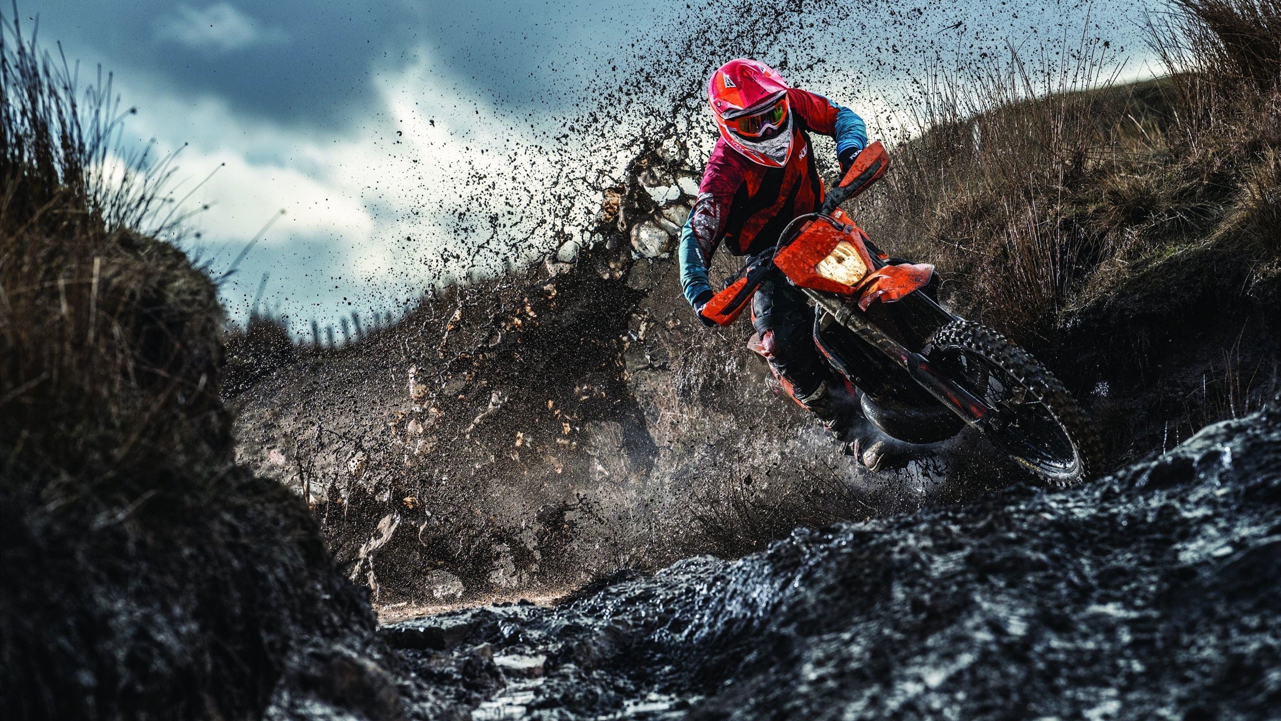 F1街道赛焦点战，骑士稳稳拿下北京队，体育跨界启示录